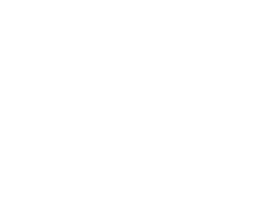 IntroductiontoSupporters